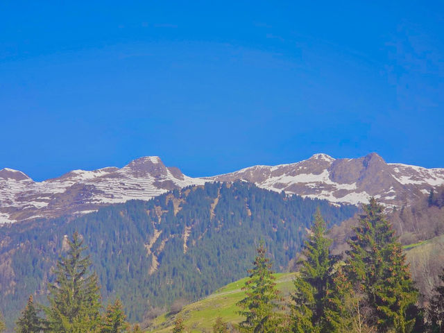 🏔️스위스에서 보낸 평범하지만 특별한 하루