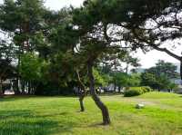 백제 웅진의 숨결 따라, 공주 반죽동 당간지주 산책🐾