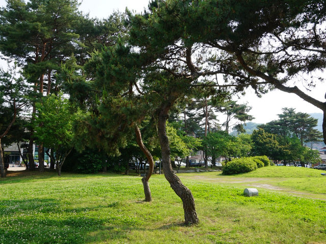 백제 웅진의 숨결 따라, 공주 반죽동 당간지주 산책🐾