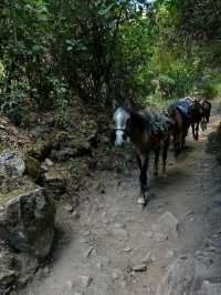 Inca Trail: A Journey Through the Clouds to the Lost City