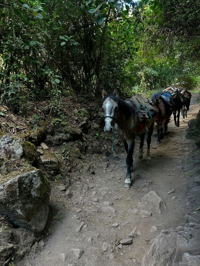 Inca Trail: A Journey Through the Clouds to the Lost City