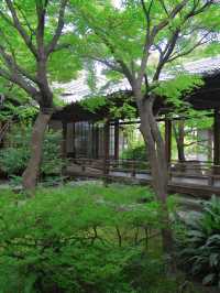 【行く前にこれ見て】禅の境地へ誘う翠の庭園！🌿🐉※周辺観光情報付 