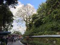 🌿 Must-Visit in Penang | Perfect One-Day Tour of Penang Hill + Kek Lok Si Temple ⛰️🙏