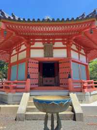 【伊豆下田】御朱印巡り✼御朱印とお守りがかわいい縁結びスポット