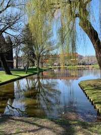 Spring in Rotterdam: A Vibrant Celebration of Nature
