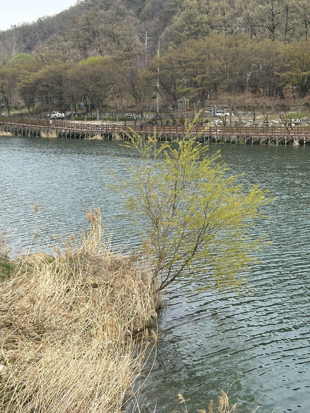 🌿 도심 속 작은 호수, 명암저수지에서의 여유로운 산책