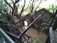 Anping Tree House