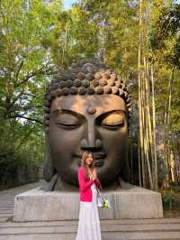 เดินเล่นใน Hangzhou Botanical Garden