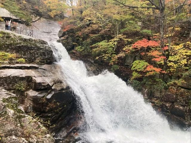 Nature Escape