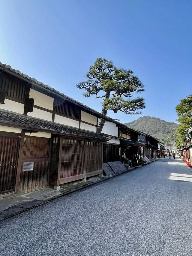 A Full Day of Exploring Omihachiman 🏯🌿