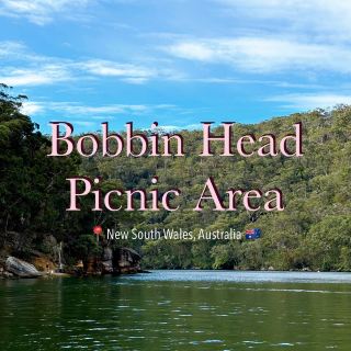 Sydney with Kids | Paddling Through Nature in a National Park 🚣‍♀️🌿