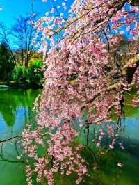 Westpark – Munich’s Cultural Garden Escape