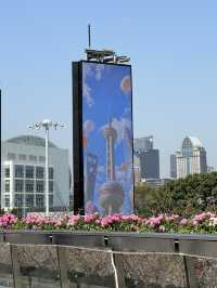 For a picture-perfect view of the Oriental Pearl Tower