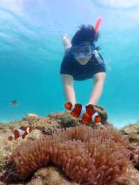 Yaya Malee Resort & Snorkeling