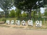 도심 속 자연 힐링 공간, ‘해운대 수목원’ 리뷰 🌳🌼