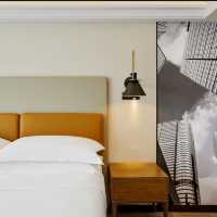 A Symphony of Comfort and Elegance