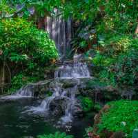  คาเฟ่ในป่าบรรยากาศสบายตาเขียวชะอุ่ม