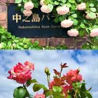 令散步旅人狂喜的都市綠洲 💕 大阪北濱中之島