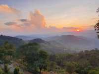 Apa Homestay ดอยช้าง วิวสวย ๆ 