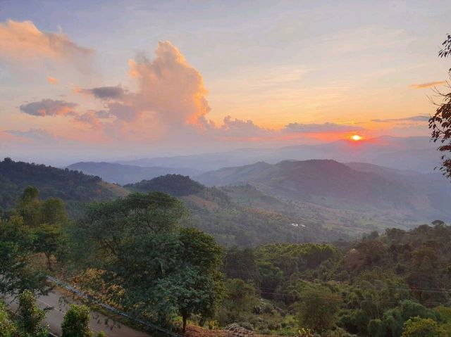 Apa Homestay ดอยช้าง วิวสวย ๆ 