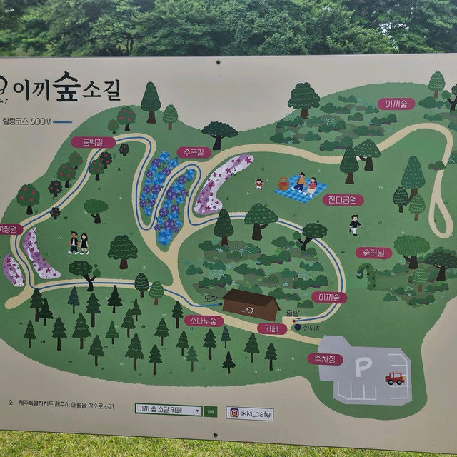 💘🫧제주시 애월 이끼숲소길 카페