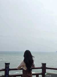 รถไฟปุ๊กปิ๊ก ที่ปูซาน 1 Day trip