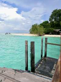 Guardians of Paradise: Diving with Turtles and a Post Office