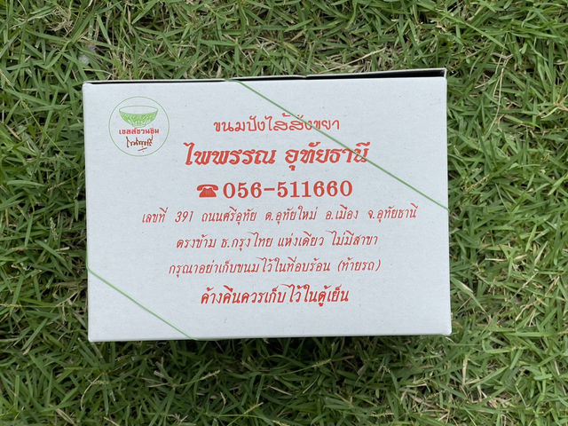 ไพพรรณ อุทัยธานี 
