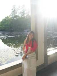 เที่ยว Hangzhou Botanical Garden