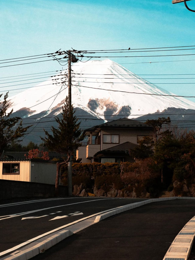 【富士山で心震える絶景旅】日本一の山で自然と歴史に触れる🌄🗻
