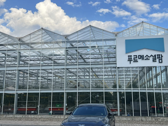 푸르메 소셜팜과 무이숲