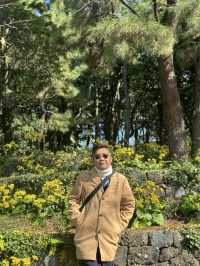Jeju’s Innisfree Café & Green Tea Fields – A Dreamy Stop for Beauty Lovers and Nature Seekers