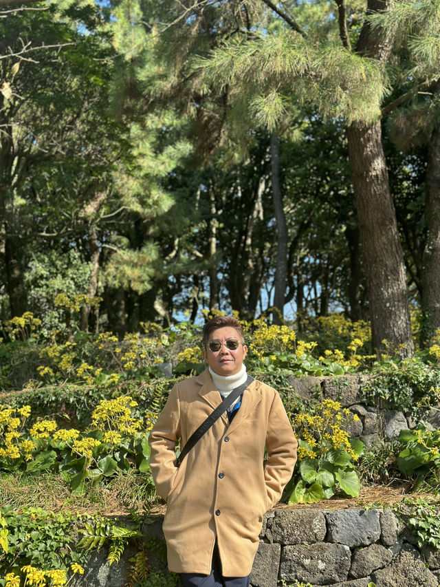 Jeju’s Innisfree Café & Green Tea Fields – A Dreamy Stop for Beauty Lovers and Nature Seekers
