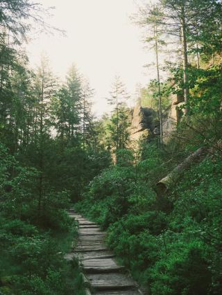 🏞 바위의 미궁에서 모험 기분! 작센 스위스 국립 공원에서 자연과 놀이 여행