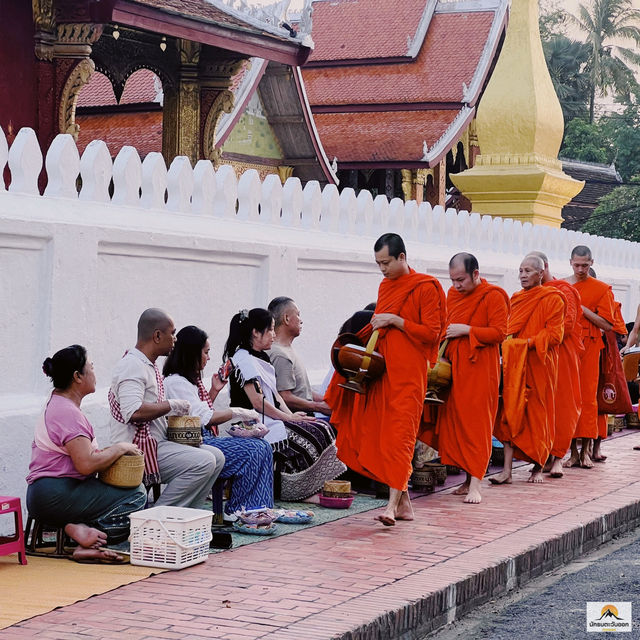 ตักบาตรเช้าหลวงพระบาง