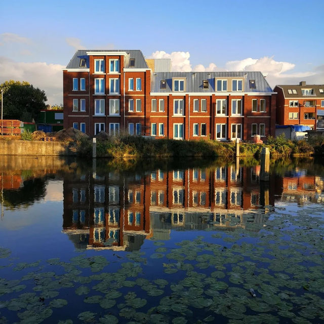 🧀🌷 Gouda Summer Guide: Cheese, Canals & Hidden Courtyards