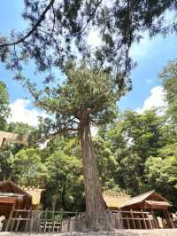 【神々のふるさとへ⛩️伊勢神宮で心を整える旅】