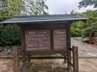 犬山 | 日式庭園有樂苑，國寶茶室如庵