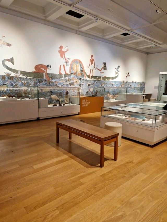 Leicester Museum and Art Gallery