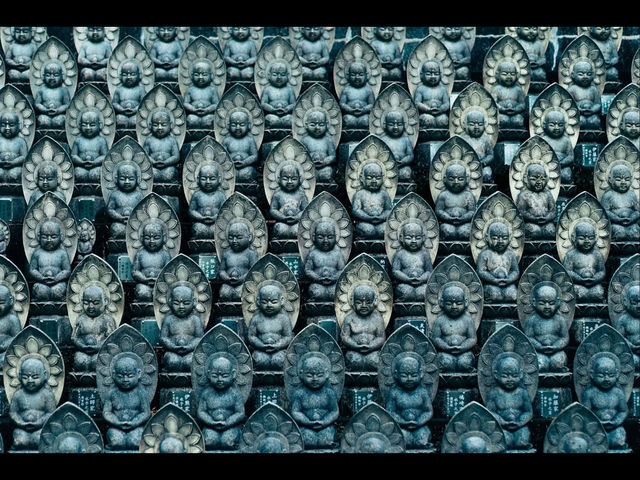 【静寂に包まれる祈りの空間🙏】鎮国寺で心を整える癒し旅