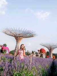  Maple Gardens กาญจนบุรี