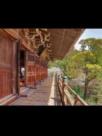 【書写山圓教寺】静寂と荘厳が包む、心を整える山寺旅🧘‍♀️✨