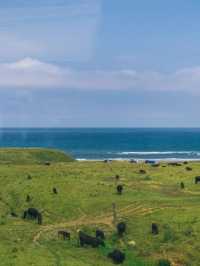 🚆 My Favourite Route — Newcastle to Edinburgh by Train | Coastal Views You’ll Never Forget