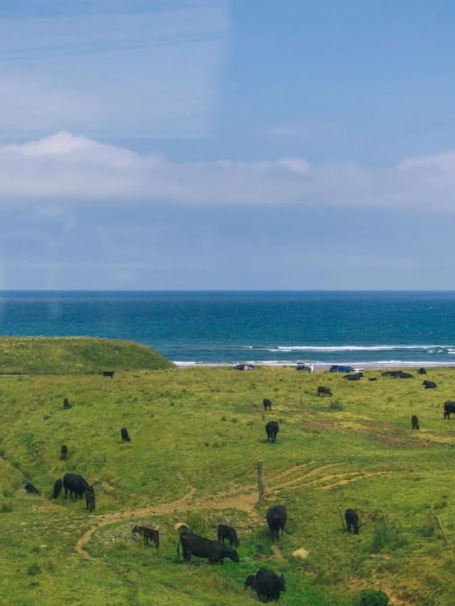 🚆 My Favourite Route — Newcastle to Edinburgh by Train | Coastal Views You’ll Never Forget