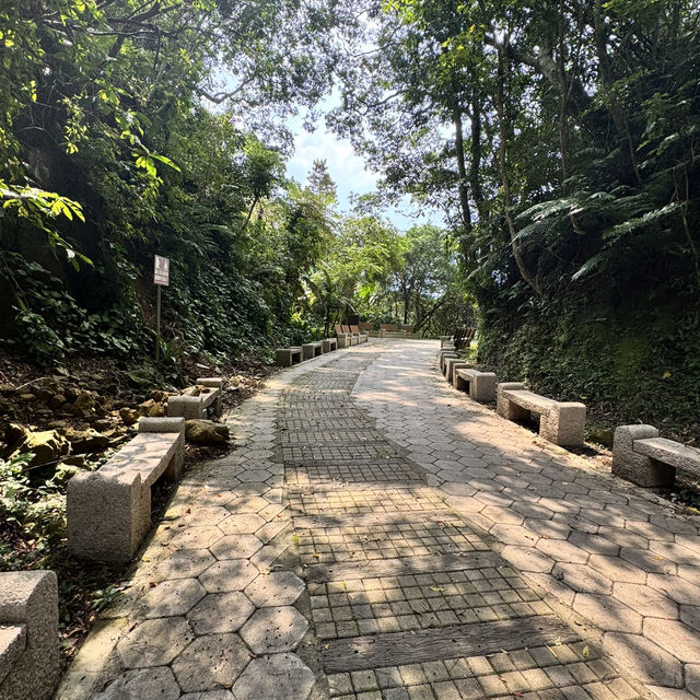 石龜坑山古道巡禮