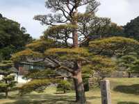 鹿兒島-仙巖園（超級推薦）