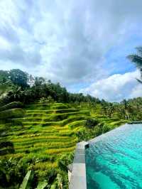 Ubud, Bali Nature and Culture in One Place