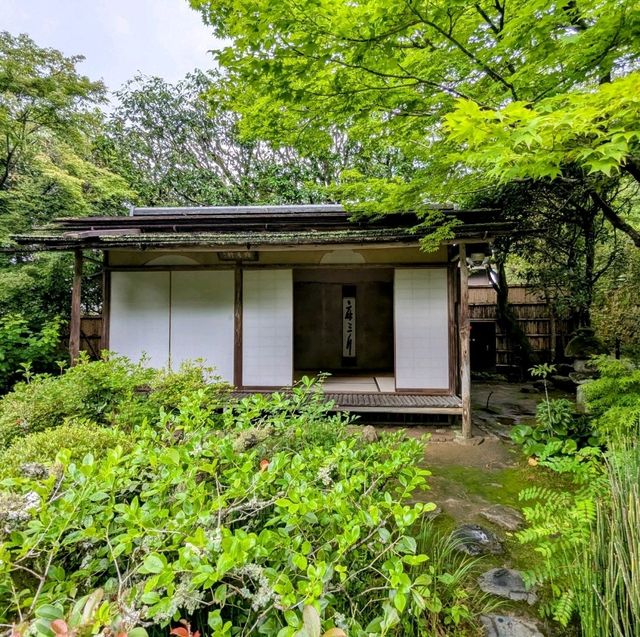 京都 | 詩仙堂，歲月靜好的賞楓名所
