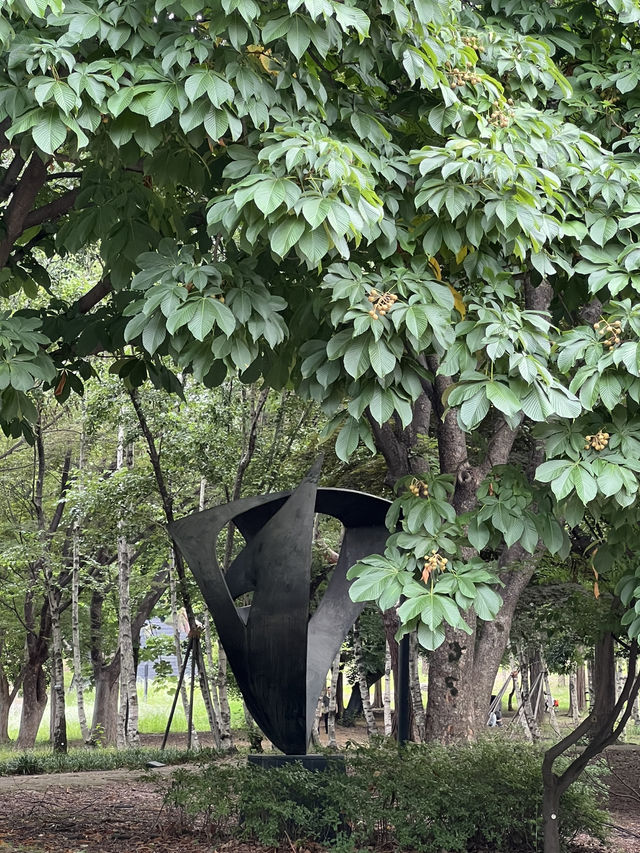 공원을 둘러보며