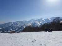 ❄️ Snowy Peaks & Scenic Treats: A Family Day Out at Hakuba Mountain Harbor